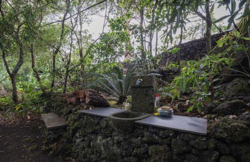 Quinta de São Caetano - São Miguel Açores - Photo 68