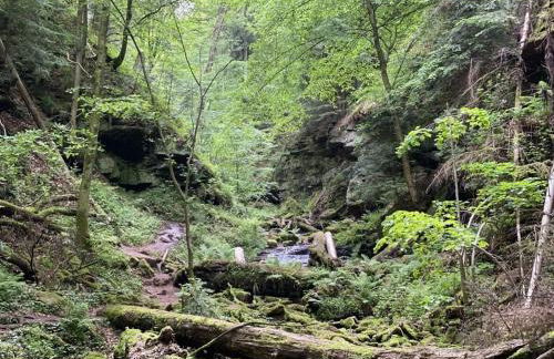 Holiday Apartment Schlossblick 2 - Foto 37