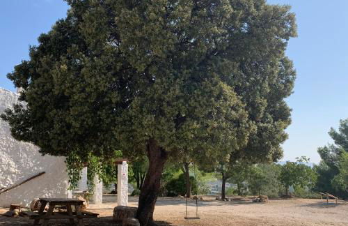 Casas Rurales Cortijo Cerro Fuentes Nuevas - Foto 20