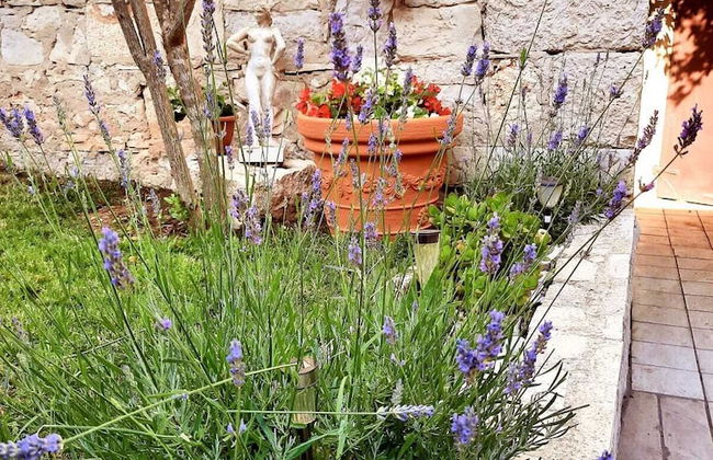 Apartments Neno - Foto 22