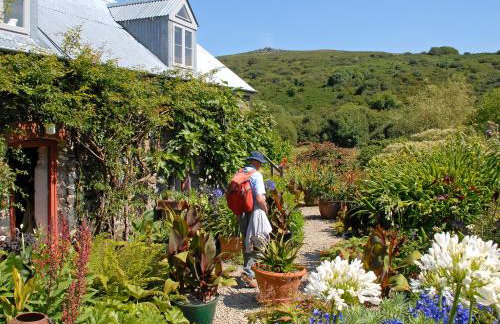 Wisteria Lodge - Cottage - Foto 36