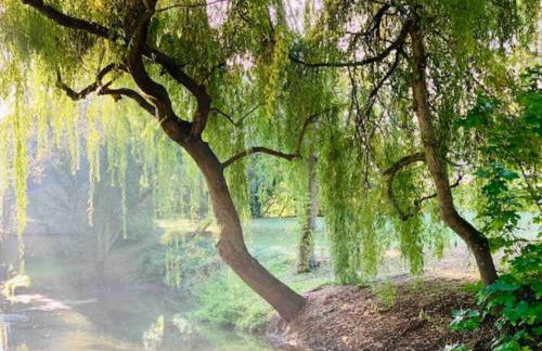 Ile de Malvy - Photo 32