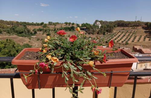 Casa de la Abuela Pili - Foto 59