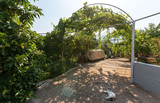 Serene Seaside Bliss - Lush & Secluded Garden Oasis - Foto 47