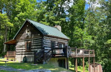 Cozy Historic Cabin with stellar view of Big Schloss - Foto 26