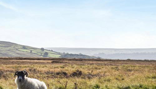 York Apartment - Photo 4