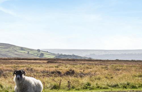 York Apartment - Photo 17