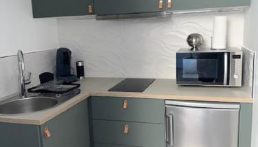 Un havre de paix en plein coeur de ville près Chu - Foto 2