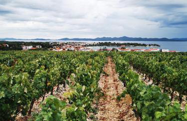 Residence Family Plazina - Place 1 & 2 - Foto 25