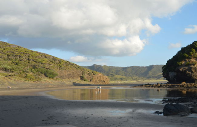 Bethells Beach Cottages - Foto 52