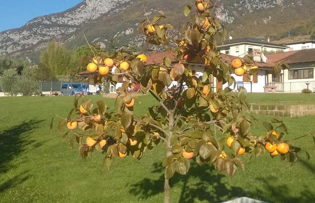 Agriturismo Trefrutti - Foto 38