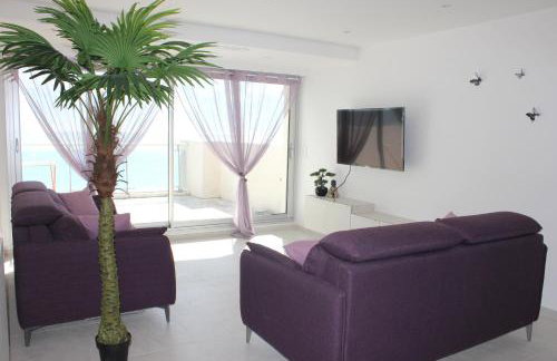Appartement 3 pièces Nice Promenade des anglais dernier étage vue mer solarium - Foto 7