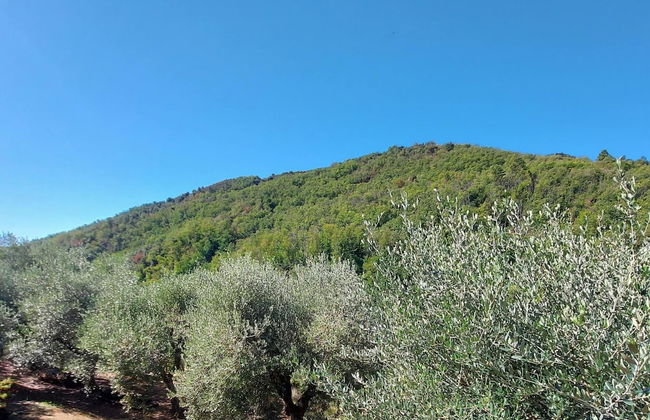 Holiday Home in Tuscany Near Lucca - Foto 37