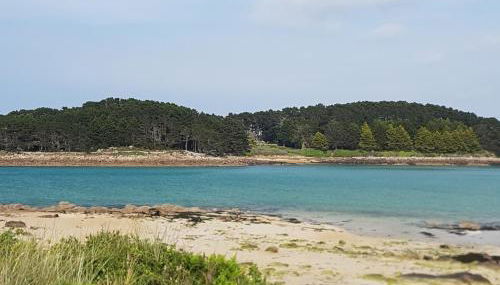 Les Menhirs - Photo 2