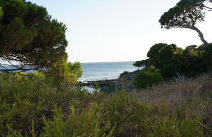 Luxurious T2 apartment, Olhos Dagua - Foto 35