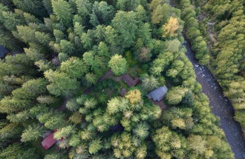 Whispering Pines - Cabin w hot tub - Foto 4