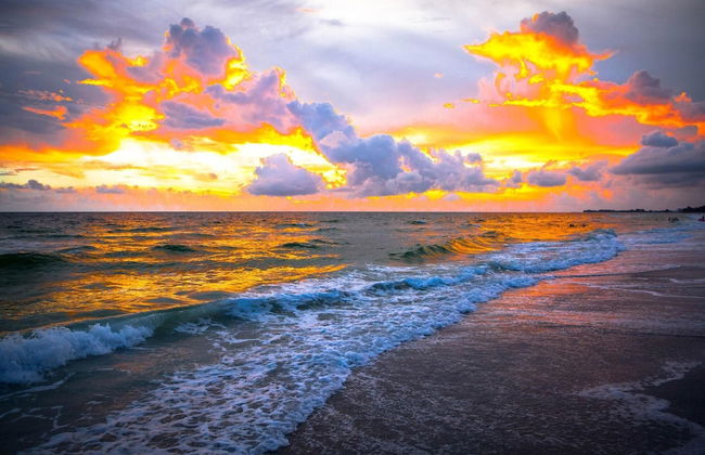 Anna Maria Island Beach Palms 6B - Foto 72