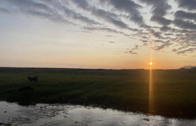 Álftártunga farm guesthouse - Foto 67