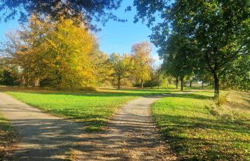 Ferienwohnung LandLicht mit Terrasse in ruhiger Lage - Foto 46