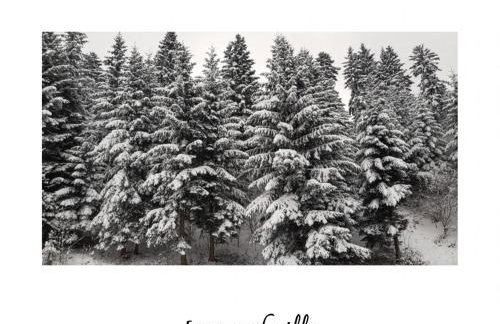 Willa Witówka - Foto 35