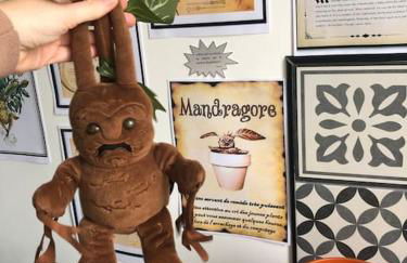 Maison Harry Potter pour 6 personnes en centre ville - Foto 7