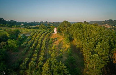 Quinta do Guerra - Foto 50