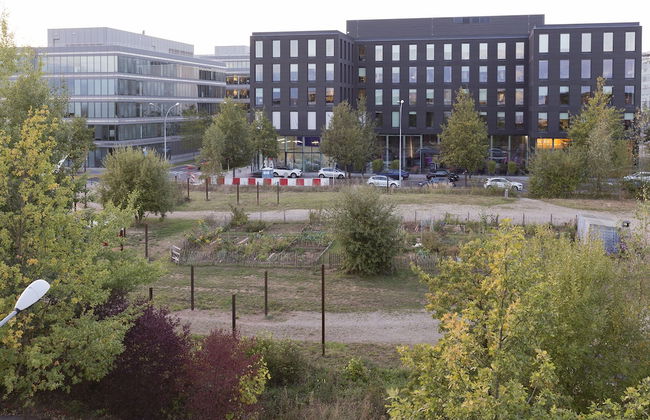 Villa Doria - Photo 56