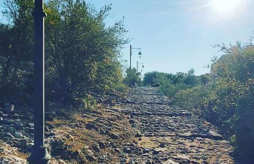 Maria Tsomou - Foto 15