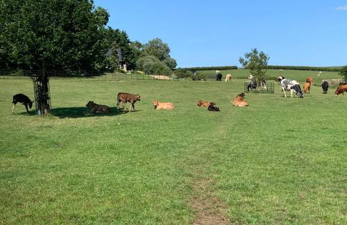 Weatherhead Farm - Foto 46