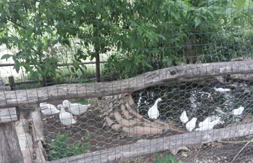 Agriturismo Il Sentiero - Foto 53