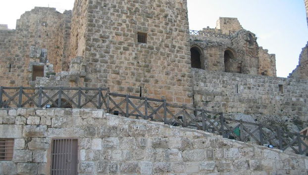 Excursion d'une journée complète à Jerash, Ajloun et Amman - Photo 4