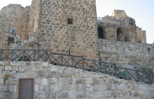 Escursione di un'intera giornata a Jerash, Ajloun e Amman - Foto 4