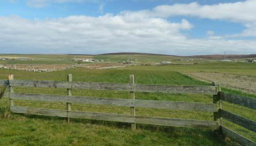 Madras cottage Orkney Islands - Foto 4, Garden view