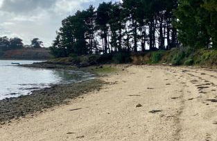 Site exceptionnel accès mer grands espaces - Foto 55