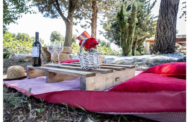 Lamia del Fico con Piscina Pineta e Zona Giochi - Foto 35