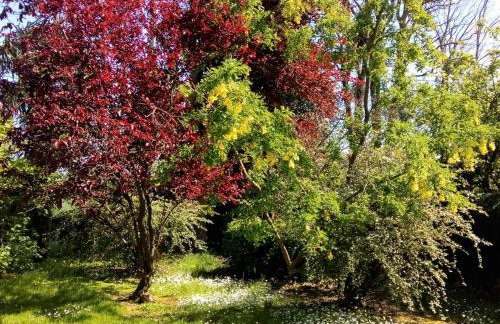 La Barberie à Saint-Marcouf - Foto 23