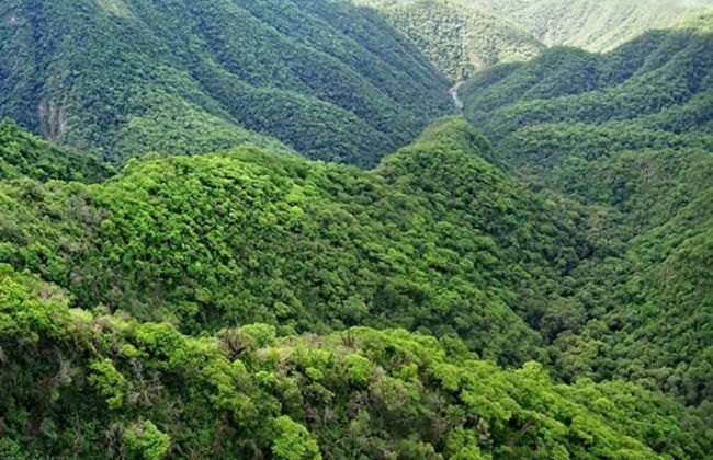 Yungas of Tucumán Day Trip - Photo 2