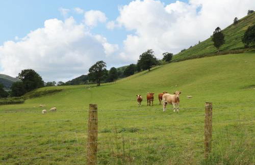 Bwthyn Camlan - Photo 39