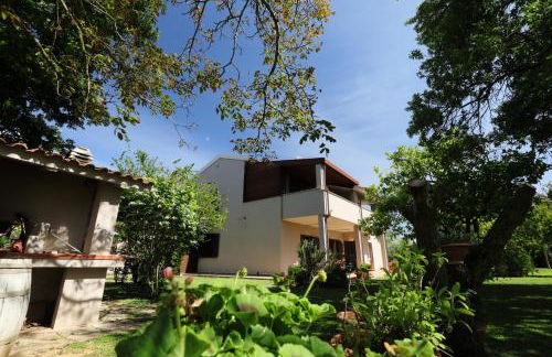 Agriturismo Podere Pizzicagallo - Foto 47