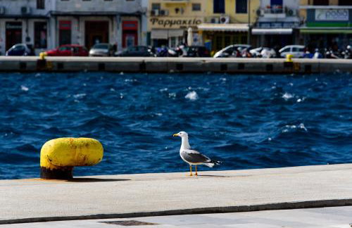 Mother's House in syros Aegean sea - Photo 44