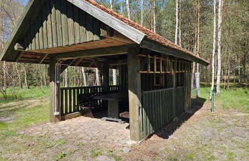 Dom Pod Brzozami Lipinki Bory Tucholskie basen - psy, koty mile widziane! - Photo 15