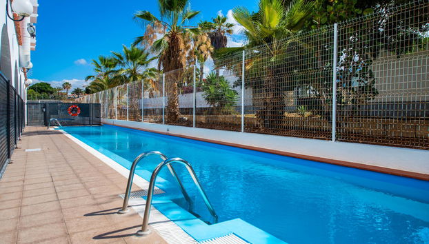 Apartamentos Albatros - Foto 5