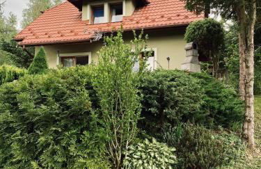 Zielony Dom - Foto 21