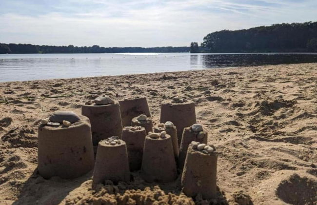 Holiday Home in Gelderland Near Nature Trails - Photo 38