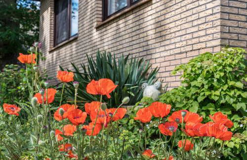 Ferienwohnung Loy - Foto 28