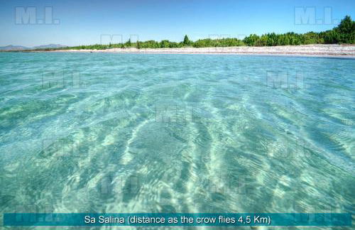 Il Fenicottero - Foto 42