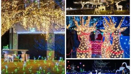 Miky’S home - Photo 2