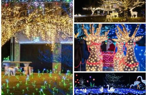 Miky’S home - Photo 2