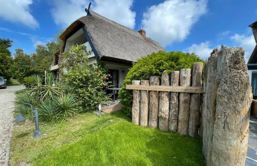 Landhaus Darss - Foto 63