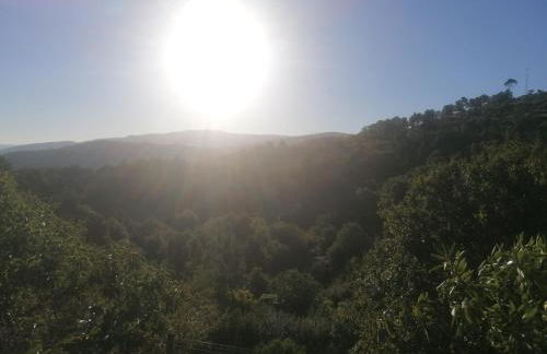 Quinta da Mal-disposta, cabin lodge Countryhouse - Foto 49